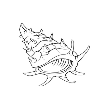 Sea Shell Symbol Illustration Design vector