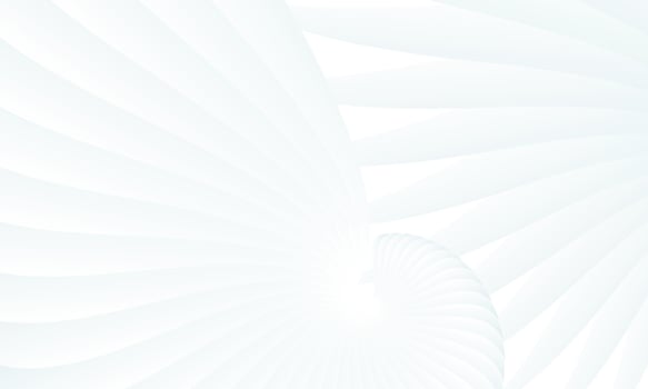 3D Shell Effect White Textured Background vector