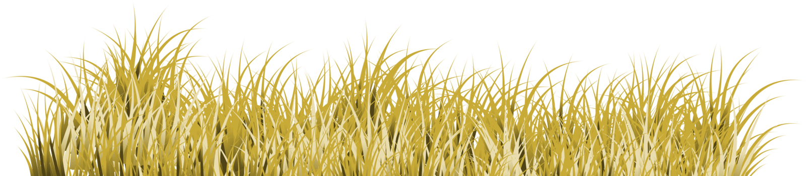 brown grass. dry grass png
