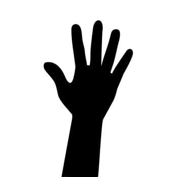 hand illustration in vector