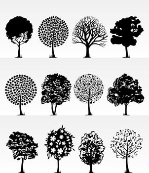 A set of trees. Vector illustration