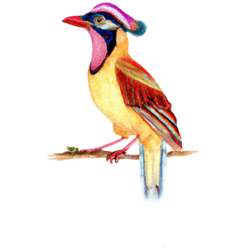 Folk Bird watercolor AI Generative png