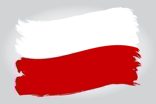 Poland flag paint brush strokes isolated on white background. Vector illustration