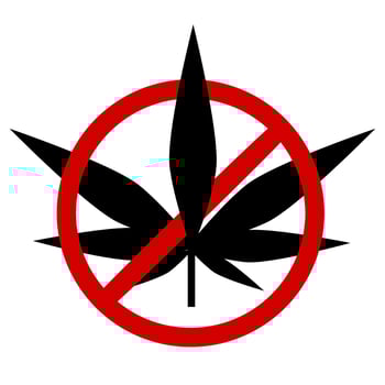 consumption of cannabis is prohibited, it is prohibited to carry cannabis and drugs vector