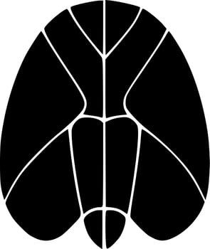 black and white of cocoon shape vector