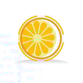 Orange logo design vector icon