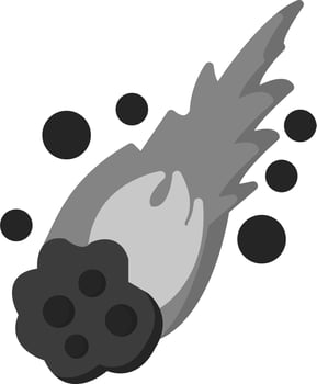 Meteor Vector Icon