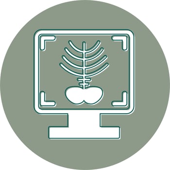 X-ray Bone Vector Icon