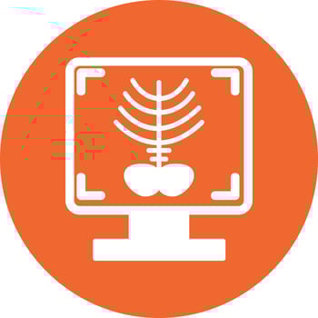 X-ray Bone Vector Icon