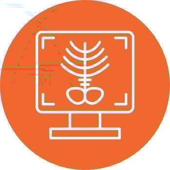 X-ray Bone Vector Icon
