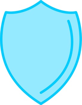 Shield Vector Icon
