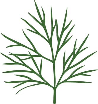 dill illustration seasoning vector