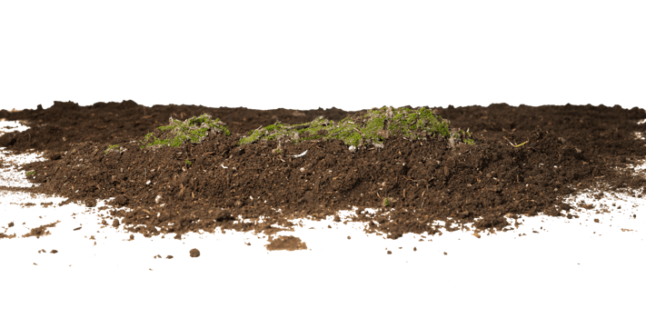 soil with moss isolated png