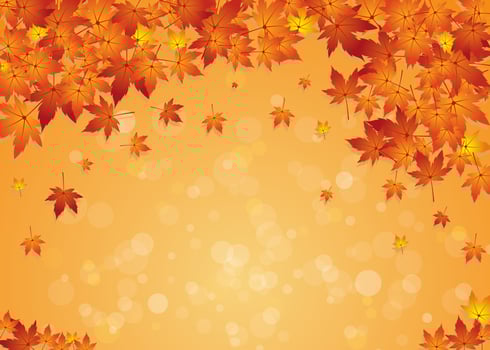 Autumn Leaf Falling Background. Vector Illustration