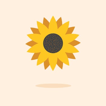 Sunflower natural vector flower