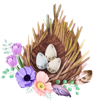 Birdhouse with spring flower watercolor png