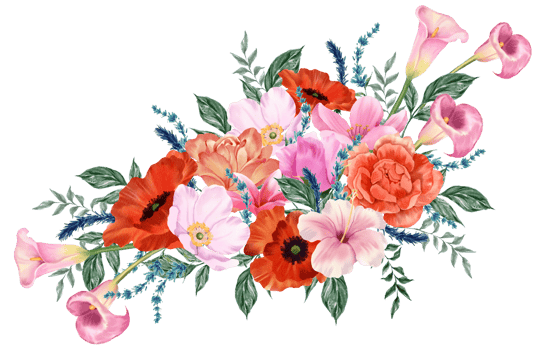 Spring floral bouquet watercolor red and pink flower blooming png