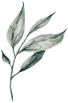 Leaf branch watercolor hand painted png