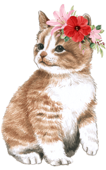 Spring floral watercolor with cute cat animal png