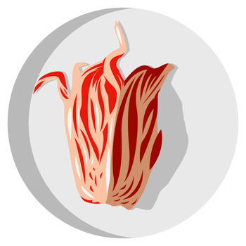 kimchi png graphic clipart design