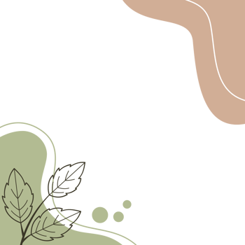 Abstract aesthetic shape corner border with hand drawn leaf modern minimalist floral frame png