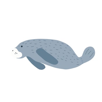 Manatees. Scandinavian style under sea. Save the manatee concept. Character design. Vector illustrations isolated on white background.