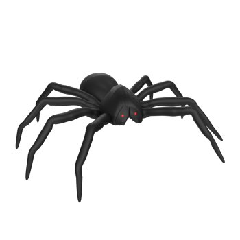 illustration of a spider isolated on transparent png