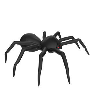 illustration of a spider isolated on transparent png