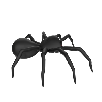 illustration of a spider isolated on transparent png