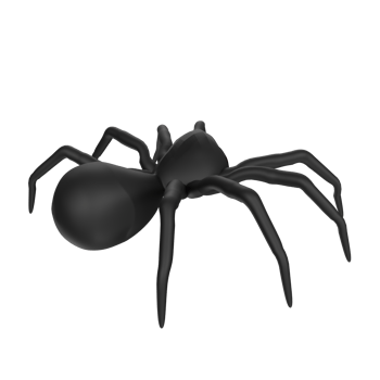 illustration of a spider isolated on transparent png