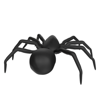illustration of a spider isolated on transparent png