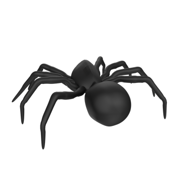 illustration of a spider isolated on transparent png