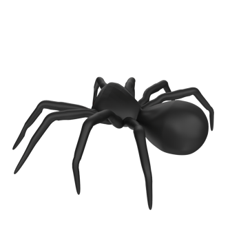 illustration of a spider isolated on transparent png
