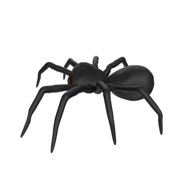 illustration of a spider isolated on transparent png