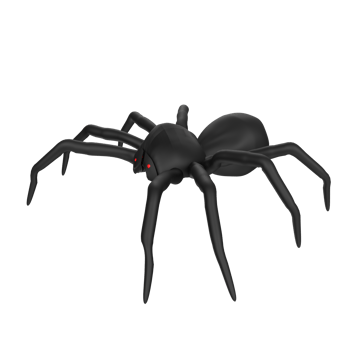 illustration of a spider isolated on transparent png