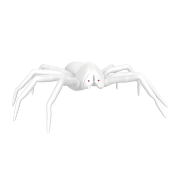 illustration of a spider isolated on transparent png