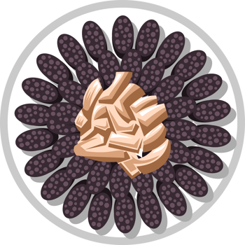 Soondae png graphic clipart design