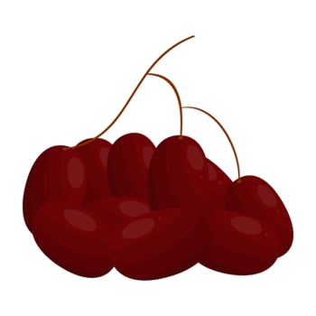 Oval Grapes, Grapes Are Sweet, Tasty And Refreshing Fruit That Contain Good Benefits For Health vector