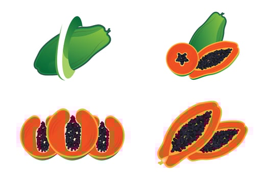 Papaya Logo Design, Vitamin Fruit Vector, Fruit Product Brand Illustration Icon vector
