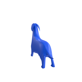dog isolated on transparent background png