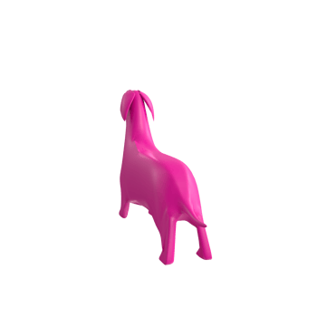 dog isolated on transparent background png