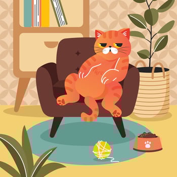 An Orange Tabby Cat Sit on a Sofa vector