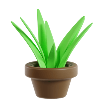 3D Leaf Plant png