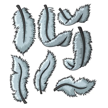 Feathers cartoon concept set, Vector Illustration