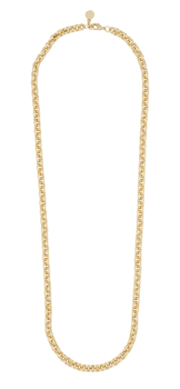 gold necklace jewelry free photo png