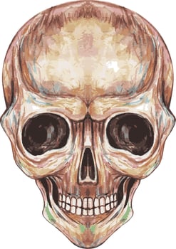 Art smile skull. Hand painting and make graphic vector. vector
