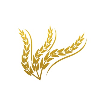 Wheat logo vector icon illustration