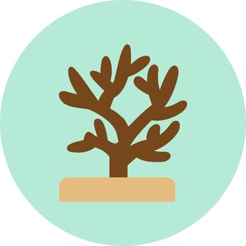 Coral Vector Icon