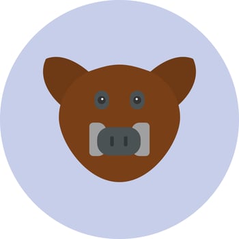 Boar Vector Icon