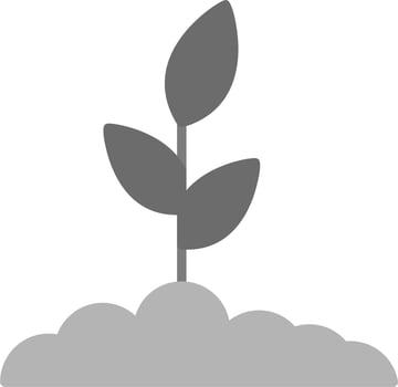Plant Vector Icon